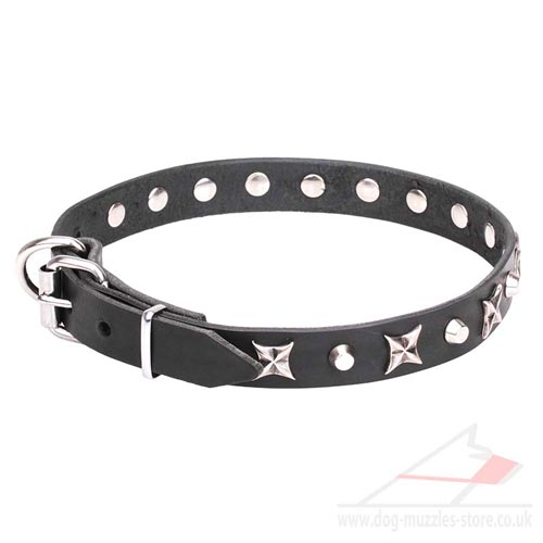 Great Leather Dog Collar "Blazing Stars" - Click Image to Close