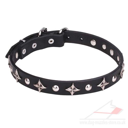 Perfect Bling Dog Collar "Pleiades" with Stars and Studs