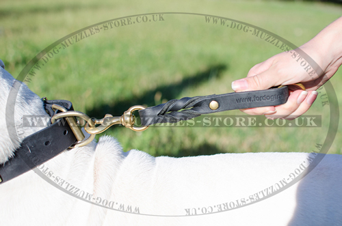 Bulldog Leash Pull Tab | Braided Leather Short Dog Leash