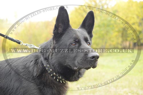 Designer German Shepherd Collar with Spikes and Studs - Click Image to Close
