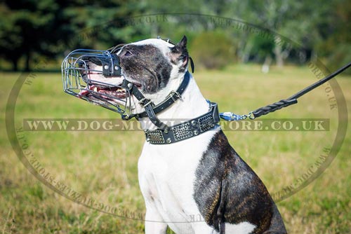 Pitbull Muzzle - Padded Wire Basket Muzzle for Pitbull