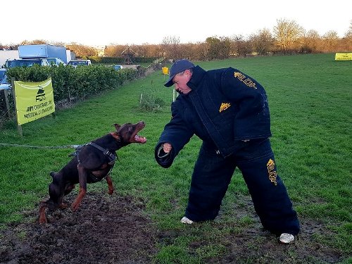 "Endurable Safety" Police Dog Training Bite Suit Improved Design