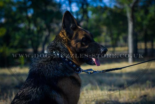 New Leather Dog Collar with Nickel Studs 'Caterpillar'