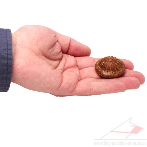 Small Dog Treats for Dog Chewing 'Round Chewing Bone' - Click Image to Close