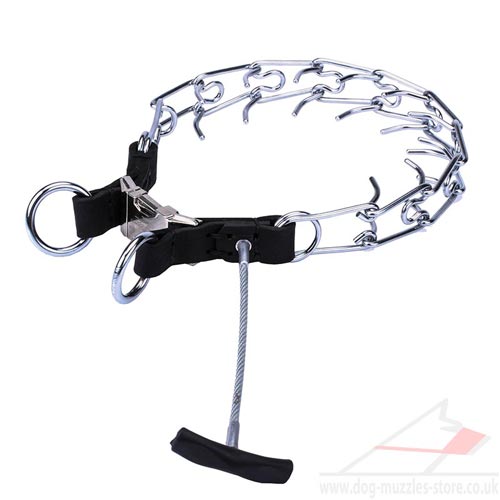Supreme Efficiency with a New Steel Dog Collar with Handle