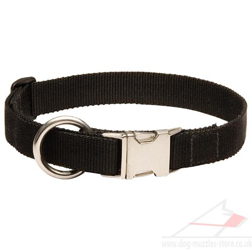 Nylon Collars for Dogs New 2014 | New Dog Collar with Buckle - Click Image to Close