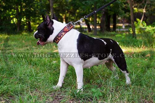 Designer Dog Collars for Amstaff | Dog Leather Collar Flame