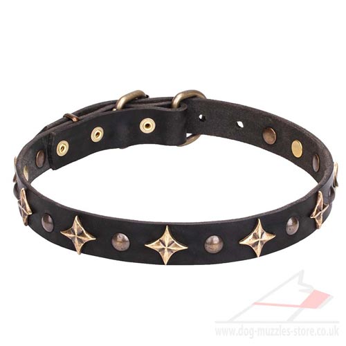 New Dog Collar "Milky Way" 1 inch (25 mm)