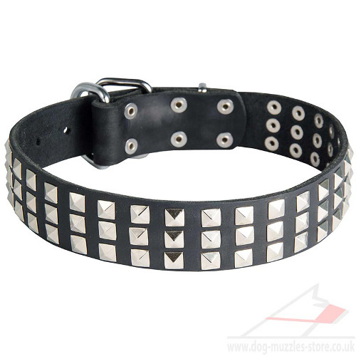 Dog Collars UK New Studded Design | Wide Dog Collar with Studs - Click Image to Close