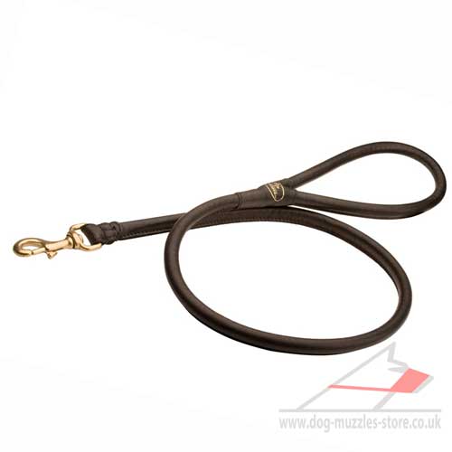 Round Leather Dog Lead for Strong Dog Training - Click Image to Close