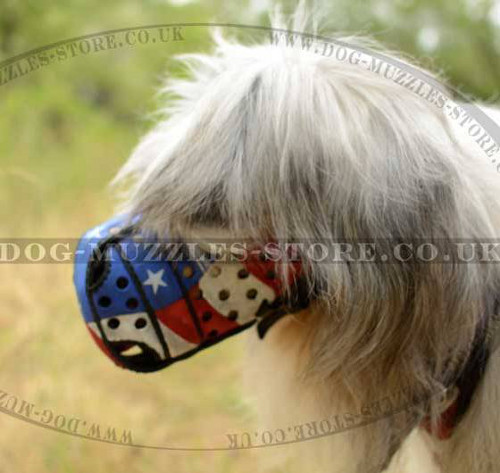 Dog Leather Muzzle for Russian Shepherd Hand-Painted Design