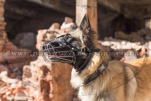 Bestseller Dog Muzzle with Soft Padded Basket for Tervuren