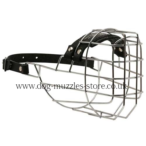 Dog Muzzles UK Bestsellers for Dogs Like Rhodesian Ridgeback