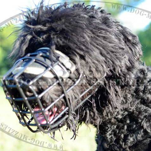 Dog Muzzle with Rubberized Wire Basket for Any Weather