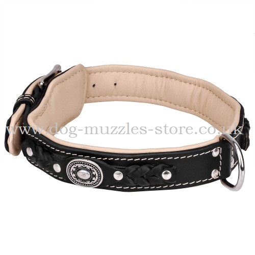 Exclusive Dog Collar Design, Soft Padded, Braided Leather - Click Image to Close