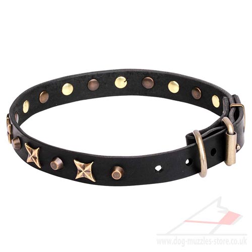 Best Leather Dog Collar Decorated with Stars and Pyramids