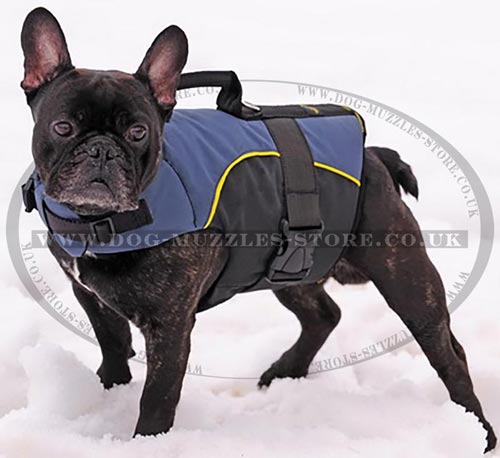 Buy French Bulldog Clothes: Warm Dog Harness with Carry Handle - Click Image to Close