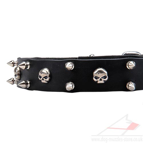 Super Funky Dog Collar with Spikes and Skulls