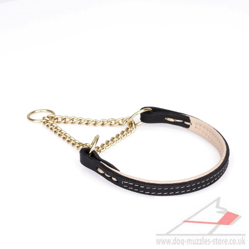 Best Martingale Dog Collar 'Golden Charm' - Click Image to Close