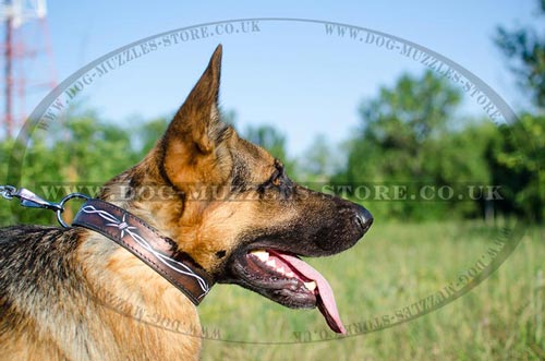 Buy Handpainted Dog Collar Barbed Wire Design for GSD