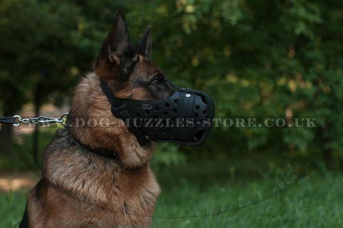 Closed K9 Dog Muzzle for German Shepherd Dog Training - Click Image to Close