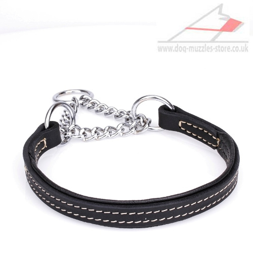 Great Martingale Dog Collar 'Safe Control' 1 inch (25 mm) wide - Click Image to Close