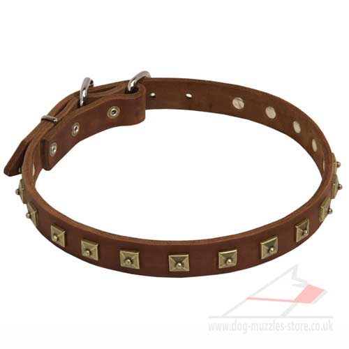 Handmade Leather Dog Collars UK | Leather Dog Collar with Studs - Click Image to Close