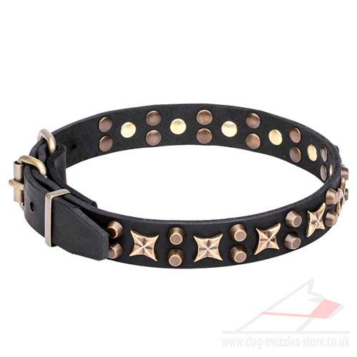 New Studded Dog Collar "Hollywood Star" 1 1/5 inch (30 mm) - Click Image to Close
