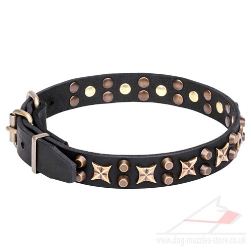 New Studded Dog Collar "Hollywood Star" 1 1/5 inch (30 mm)