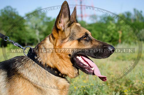 Nylon Collars for German Shepherds, with Glossy Pyramids