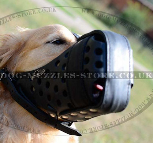 Closed Dog Muzzle Basket for Golden Retriever Muzzle Size - Click Image to Close