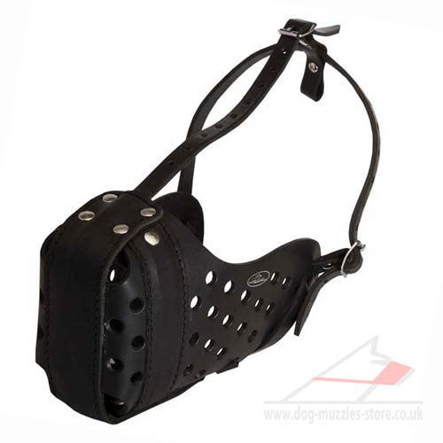 Leather Dog Muzzle for Attack, Agitation and Max Protection - Click Image to Close