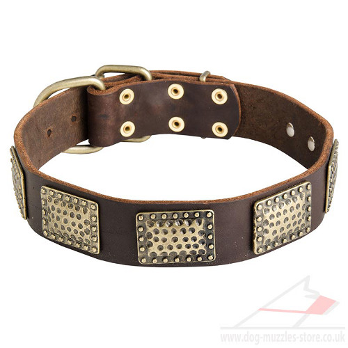 Large Dog Collars with Brass Plates | New Leather Dog Collars UK