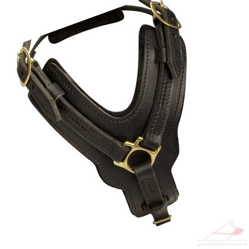 Favorite Large Leather Dog Harness UK Best Seller - Click Image to Close