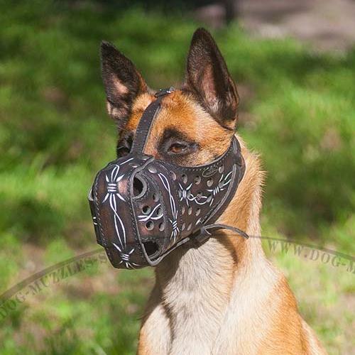 Large Dog Muzzle for K9 Dogs | Belgian Malinois Muzzle Painted - Click Image to Close