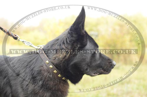 Studded Dog Collar for German Shepherd, Genuine Leather