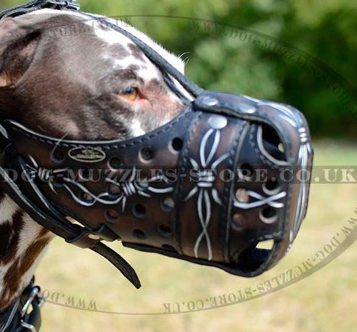 Leather Dog Muzzle for Dalmatian | Handpainted Dalmatian Muzzle