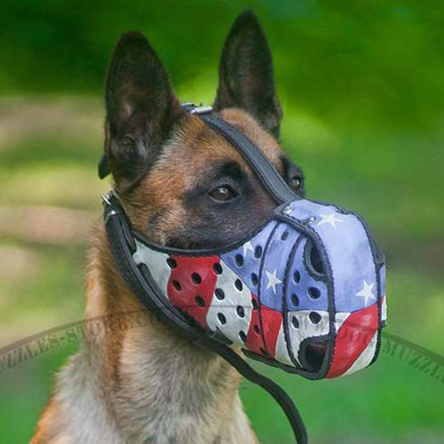 Leather Dog Muzzle K9 | Belgian Malinois Muzzle Handpainted - Click Image to Close