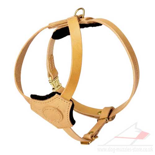 Little Dog Harness for Attractive Look of Your Pet - Click Image to Close