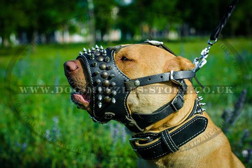 Nappa Padded Dog Muzzle for Pitbull Walking Safely