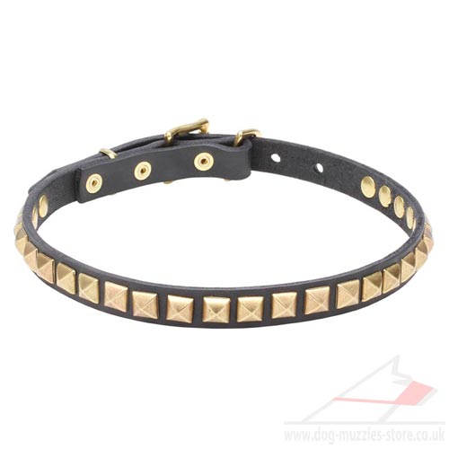 Dog Walking Collar Studded with Square Brass Pyramids - Click Image to Close