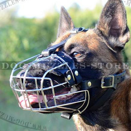 Belgian Malinois Muzzle | Wire Dog Muzzle Soft Padded - Click Image to Close