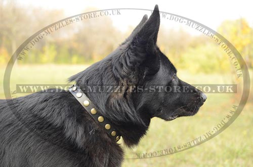 Necklace Style German Shepherd Collar