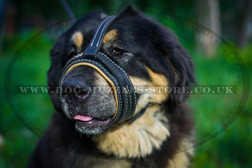 Dog Barking Deterrent Muzzle for Mastiff, Soft Padded Loop Shape