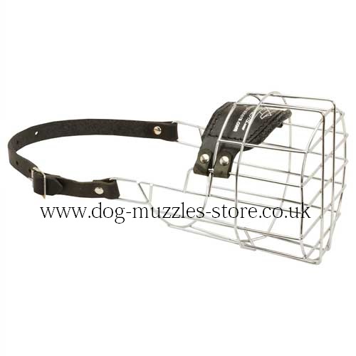 The Best Dog Muzzle for Newfoundland Muzzle Size - Click Image to Close