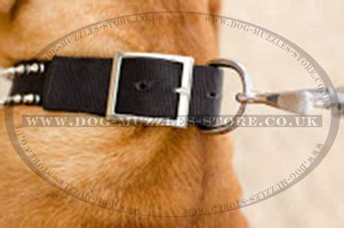 Nylon Dog Collars for Dogue De Bordeaux - Click Image to Close
