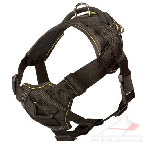 Nylon Dog Harness with Handle and Padded Triangle Chest Plate - Click Image to Close