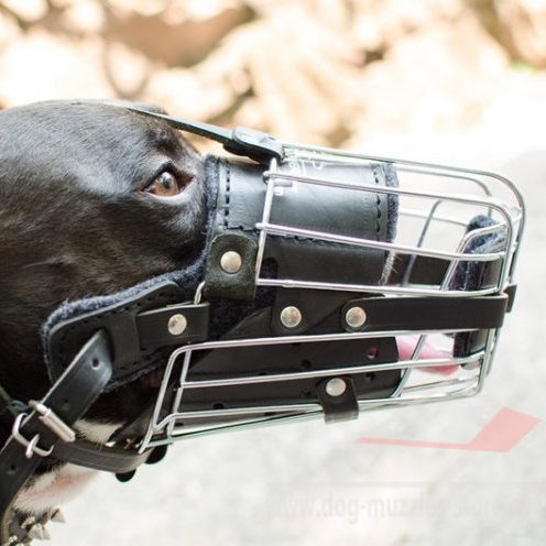 Leather Padded Dog Muzzle Long Nose Safe Attack K9