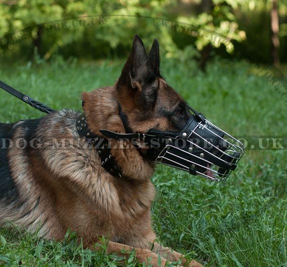 Leather Padded Dog Muzzle Long Nose Safe Attack K9