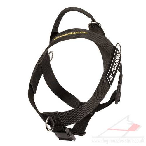 Non Pull Dog Harness UK Bestseller with Front Clip and Ring - Click Image to Close